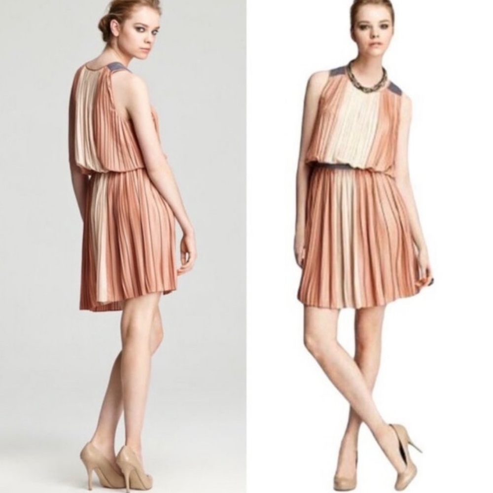 BCBG Maxazria Sofi Pleated Dress